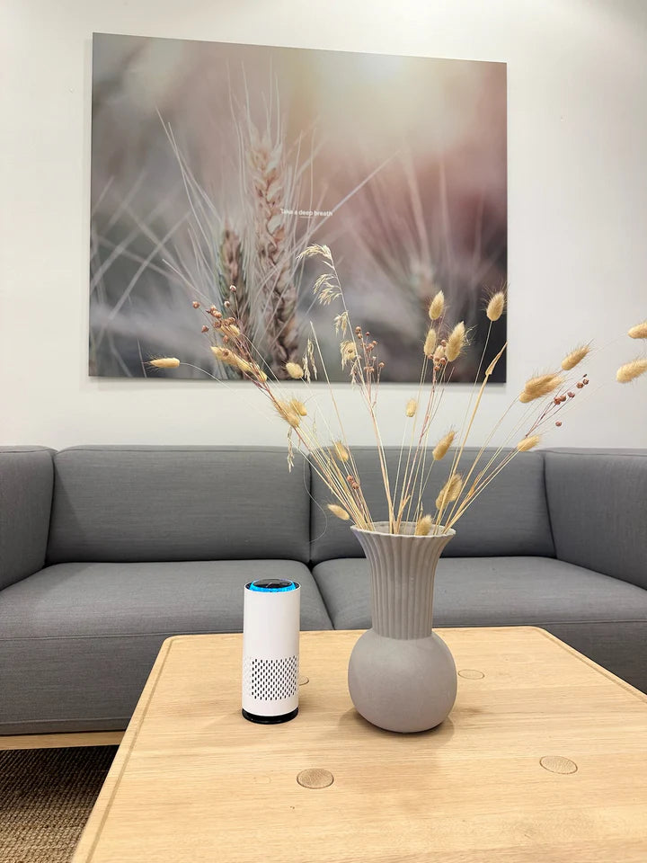 NordicAir™ Luftrenare